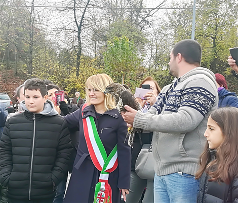 FESTA DI SAN MARTINO 2017