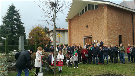 FESTA DI SAN MARTINO 2017