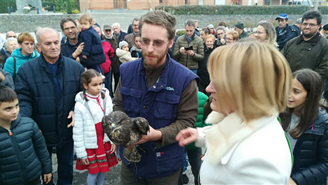 FESTA DI SAN MARTINO 2018