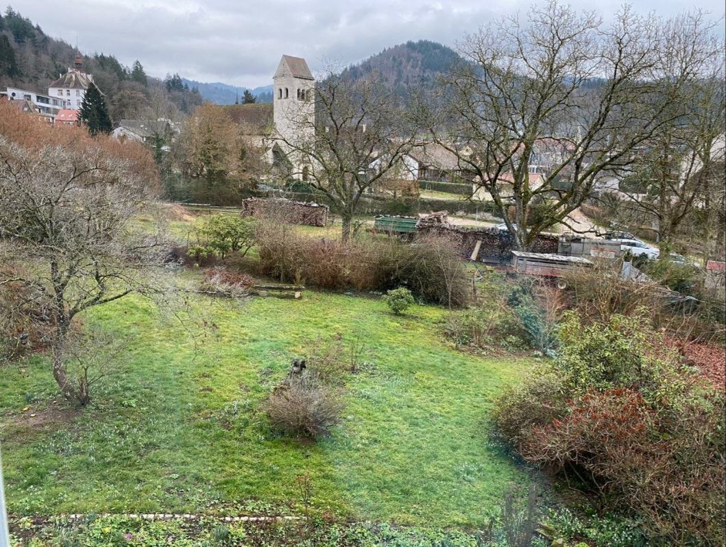 Carnevale Sulzburg 2023