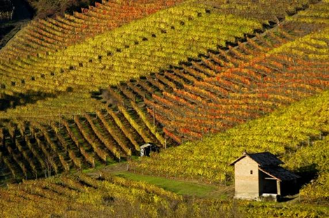 LA MORRA E LE SUE VIGNE NEI CALDI COLORI AUTUNNALI