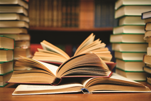 Biblioteca Comunale Don Rubino